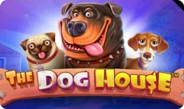 Beef Casino – The Dog House